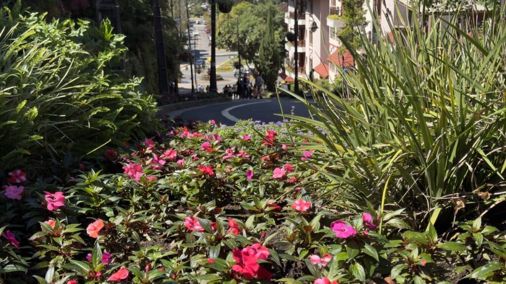 Visite Gramado, é uma cidade mágica o ano todo.