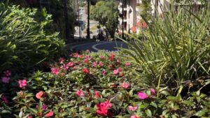 Politica-de -privacidade Política de privacidade. Gramado Mágico. Visite Gramado, é uma cidade mágica o ano todo.