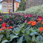 Gramado, ponto turístico gratuito, um local lindo para uma foto.